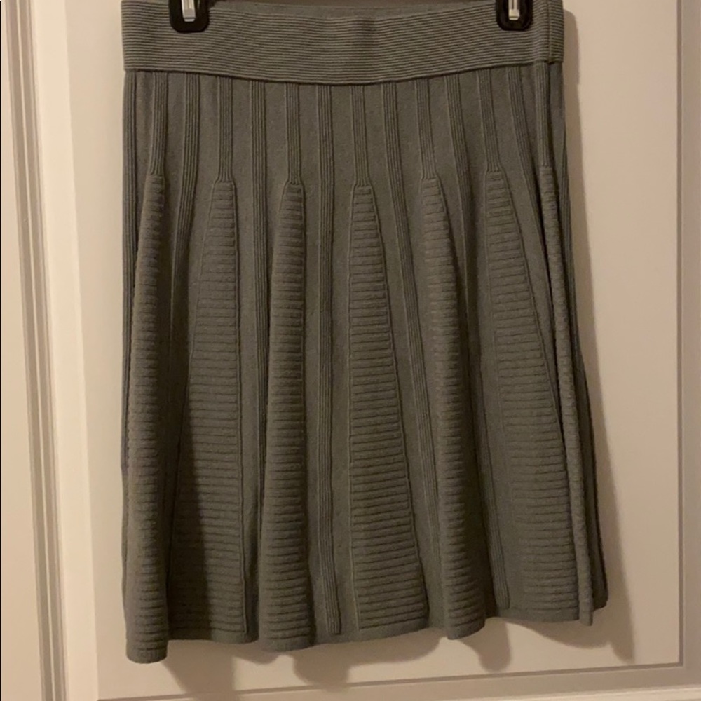 Ann Taylor Skirt